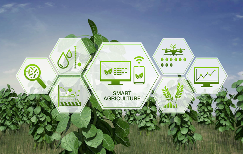 Agrometeorology System Development